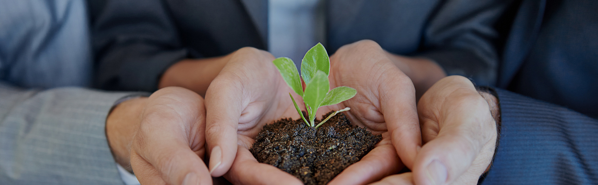 ����ϣ����williamhill(�й�)���Ĺ���