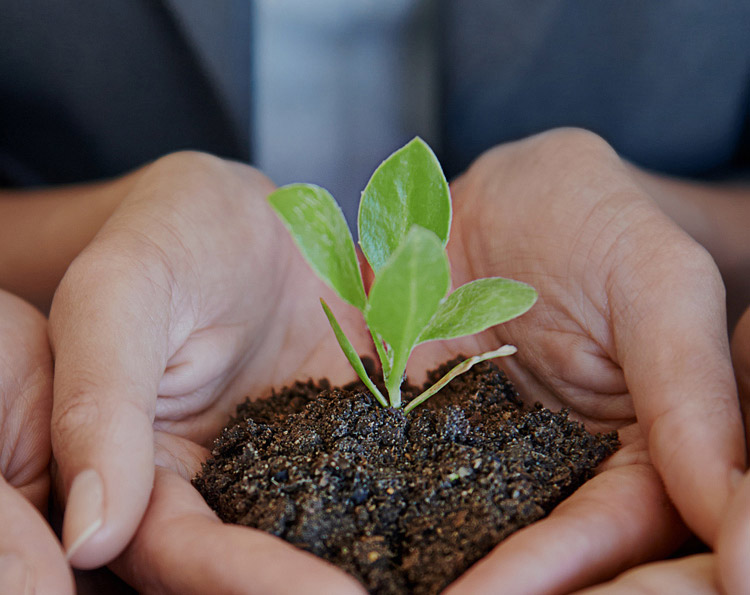 ����ϣ����williamhill(�й�)���Ĺ���