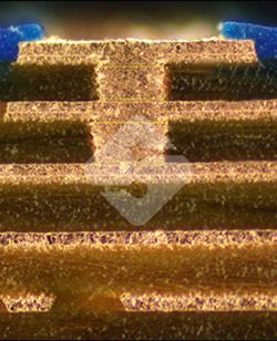 ����ϣ����williamhill(�й�)���Ĺ���