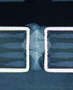 ����ϣ����williamhill(�й�)���Ĺ���