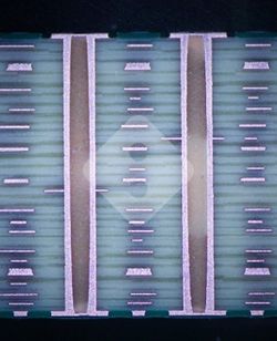 ����ϣ����williamhill(�й�)���Ĺ���