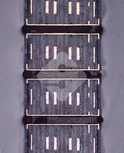 ����ϣ����williamhill(�й�)���Ĺ���