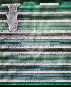 ����ϣ����williamhill(�й�)���Ĺ���