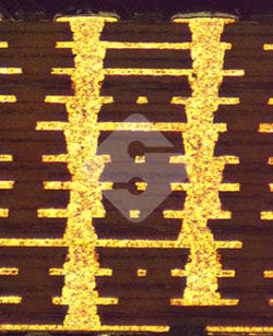 ����ϣ����williamhill(�й�)���Ĺ���