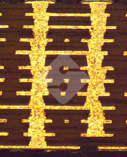 威廉希尔·williamhill(中国)中文官网